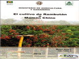 Cultivo de Rambután