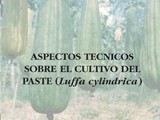 ASPECTOS TECNICOS SOBRE EL CULTIVO DEL PASTE