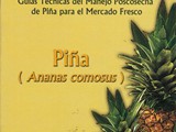 PIÑA